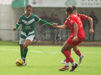AshfordUnited_3-1_Horndean_031