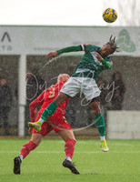 AshfordUnited_3-1_Horndean_044