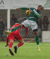 AshfordUnited_3-1_Horndean_045