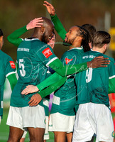 Ashford United 3-1 Horndean