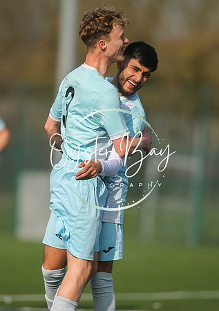 StanhopeRes_2-11_FortunaSwans_091