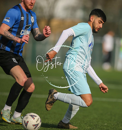 StanhopeRes_2-11_FortunaSwans_123