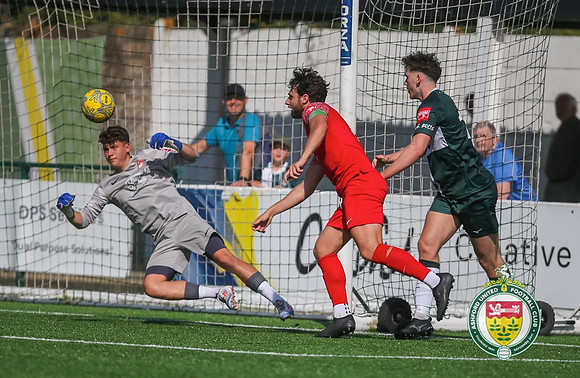 PSF_Ashford_0-1_HytheTown_211