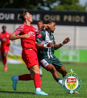 PSF_Ashford_0-1_HytheTown_009