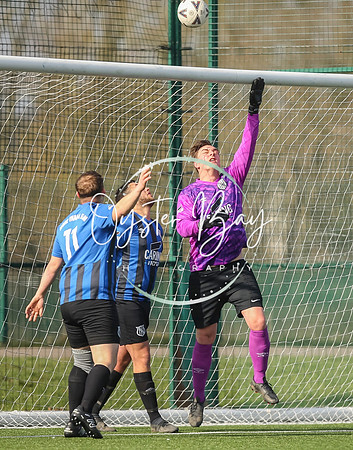 StanhopeRes_2-11_FortunaSwans_155