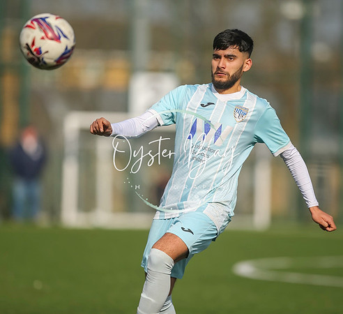StanhopeRes_2-11_FortunaSwans_177