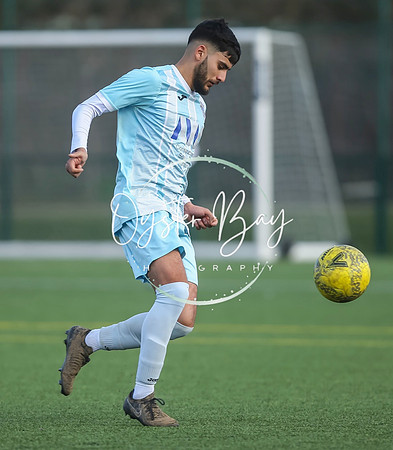StanhopeRes_2-11_FortunaSwans_217
