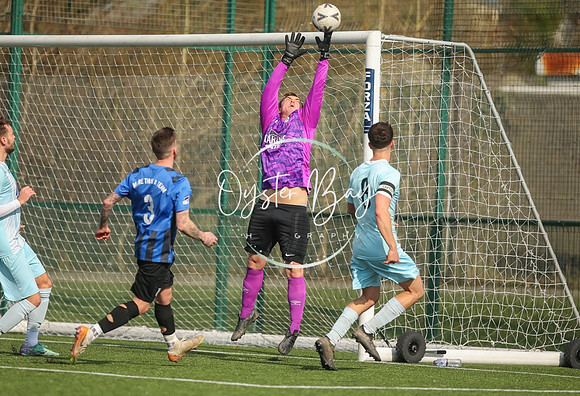 StanhopeRes_2-11_FortunaSwans_335