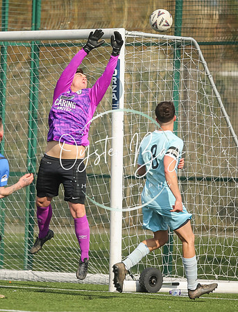 StanhopeRes_2-11_FortunaSwans_336