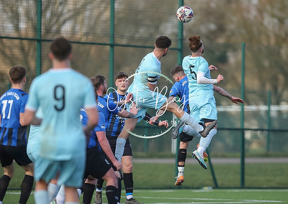 StanhopeRes_2-11_FortunaSwans_205