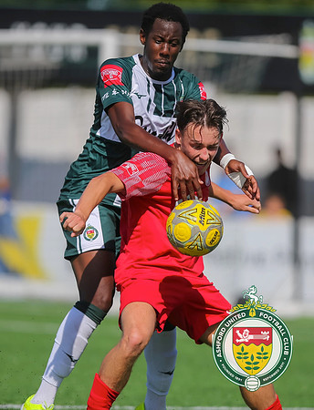 PSF_Ashford_0-1_HytheTown_192