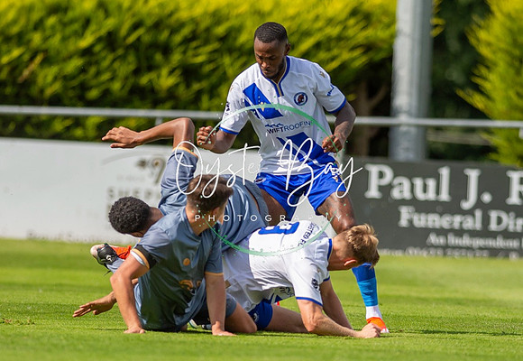 SECFL_Bearsted-1-1_Stansfeld_151