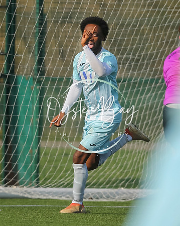 StanhopeRes_2-11_FortunaSwans_072