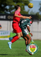 PSF_Ashford_0-1_HytheTown_010