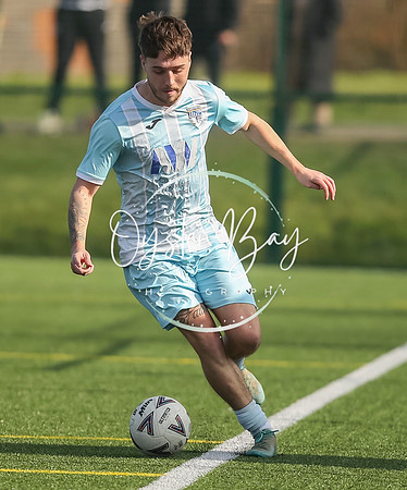 StanhopeRes_2-11_FortunaSwans_287