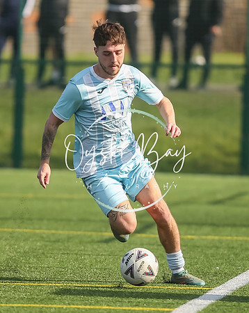 StanhopeRes_2-11_FortunaSwans_286