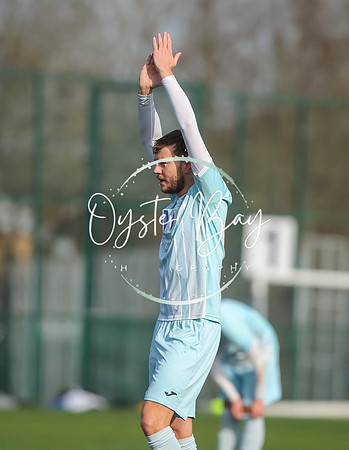 StanhopeRes_2-11_FortunaSwans_108