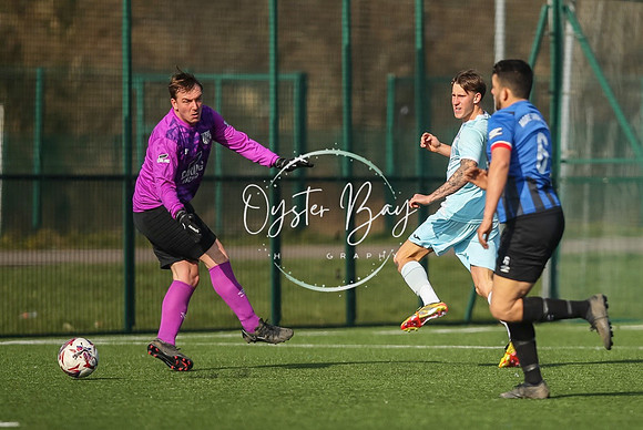 StanhopeRes_2-11_FortunaSwans_051