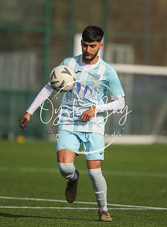 StanhopeRes_2-11_FortunaSwans_139