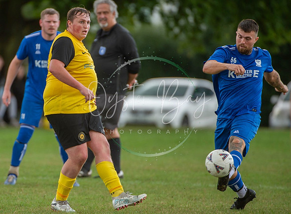Dynamo_2-0_AsfhfordW_110