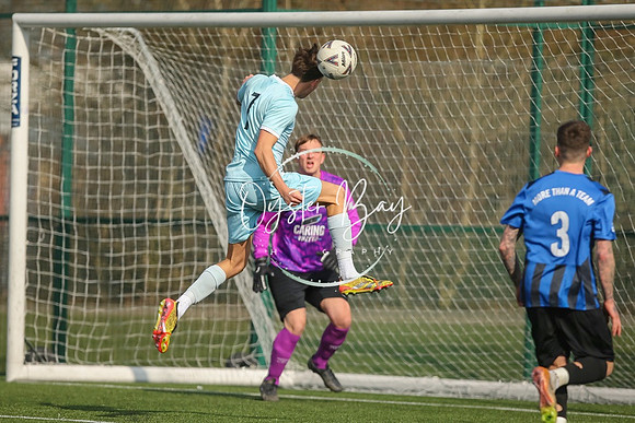 StanhopeRes_2-11_FortunaSwans_296