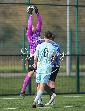 StanhopeRes_2-11_FortunaSwans_285