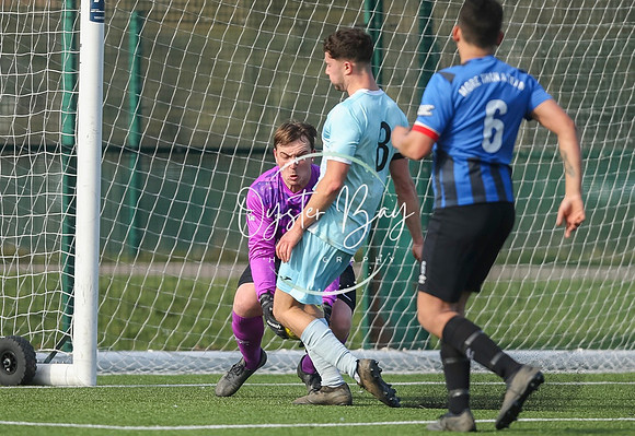 StanhopeRes_2-11_FortunaSwans_256