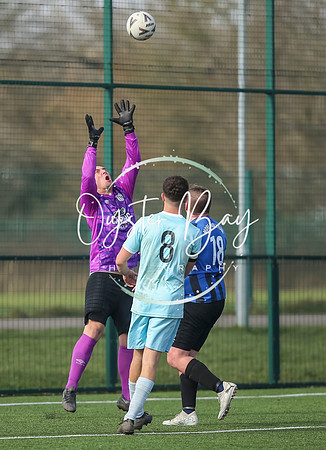 StanhopeRes_2-11_FortunaSwans_284