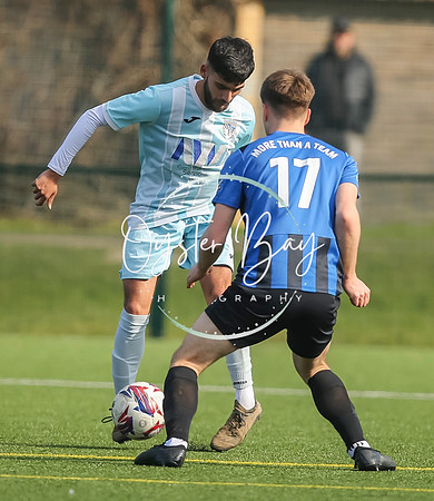 StanhopeRes_2-11_FortunaSwans_184