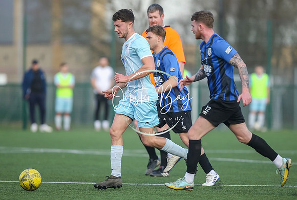 StanhopeRes_2-11_FortunaSwans_212
