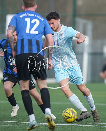 StanhopeRes_2-11_FortunaSwans_211