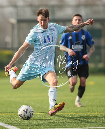 StanhopeRes_2-11_FortunaSwans_350