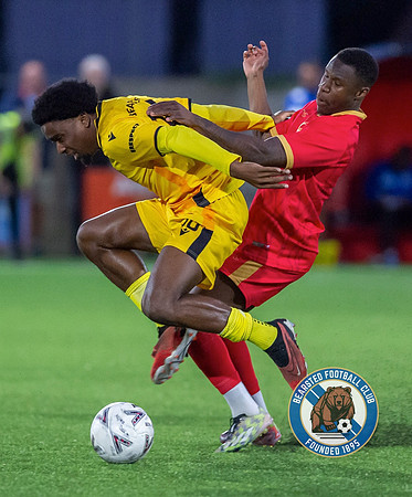 SECFL_WTFC_2-1_BFC_008