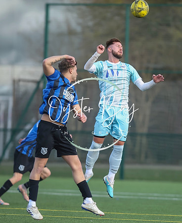 StanhopeRes_2-11_FortunaSwans_215
