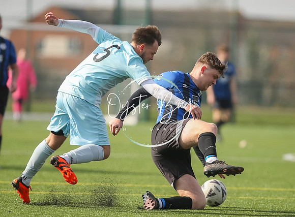StanhopeRes_2-11_FortunaSwans_401