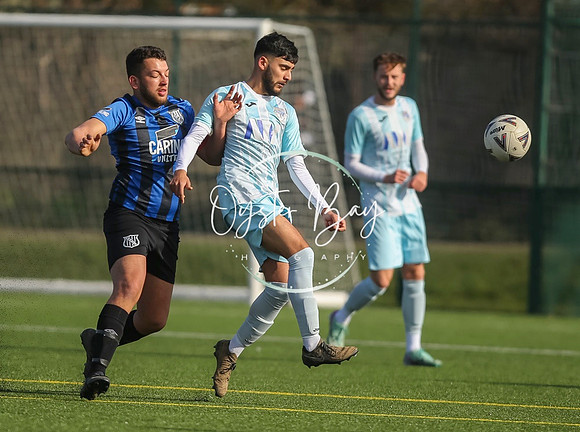 StanhopeRes_2-11_FortunaSwans_112