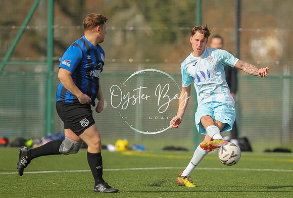 StanhopeRes_2-11_FortunaSwans_403