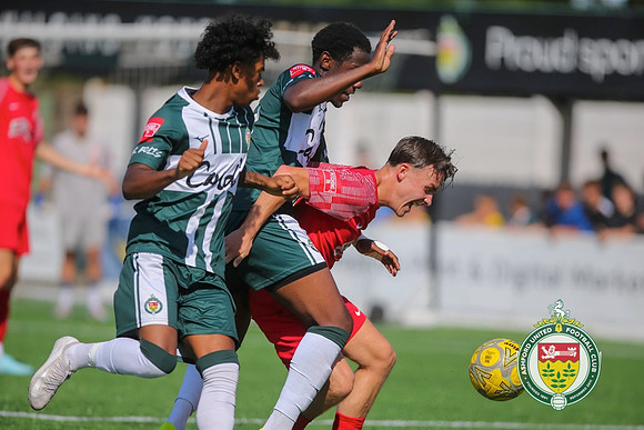 PSF_Ashford_0-1_HytheTown_198