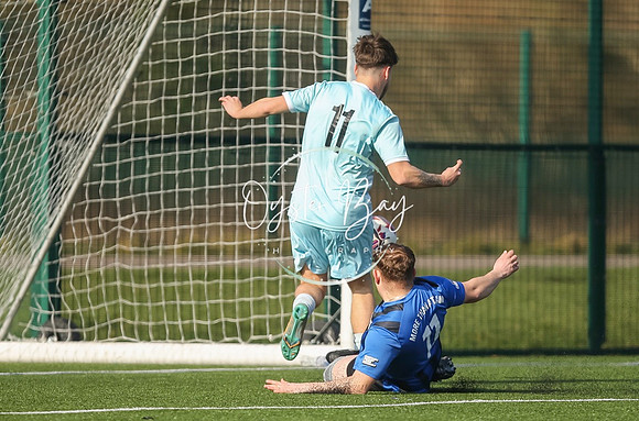 StanhopeRes_2-11_FortunaSwans_052