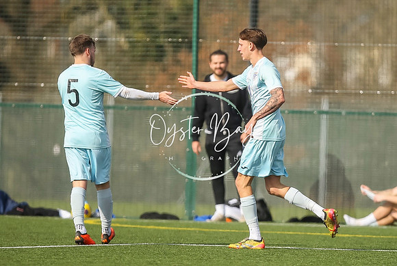 StanhopeRes_2-11_FortunaSwans_406