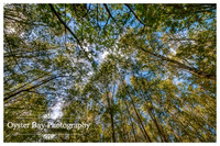 OBP_Clowes_231020_003