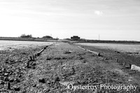 OBP_Oare_20201007A_019