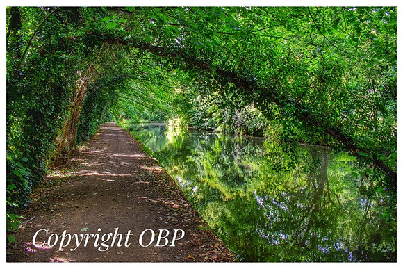 OBP_Apsley_030