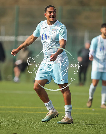 StanhopeRes_2-11_FortunaSwans_416