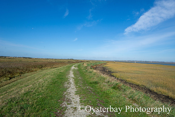 OBP_Oare_20201007A_027