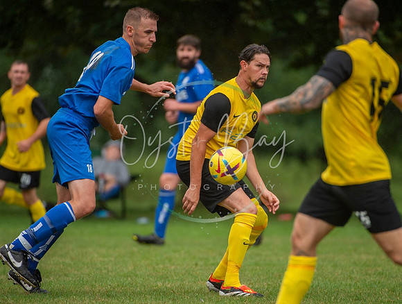 Dynamo_2-0_AsfhfordW_255