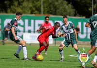 PSF_Ashford_0-1_HytheTown_002