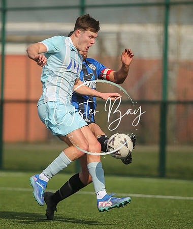 StanhopeRes_2-11_FortunaSwans_345
