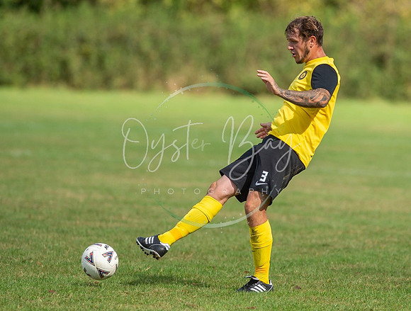 Dynamo_2-0_AsfhfordW_150