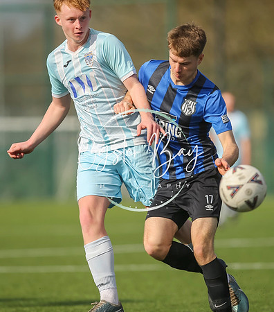 StanhopeRes_2-11_FortunaSwans_342